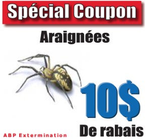 Extermination Araign�e Coupon Rabais