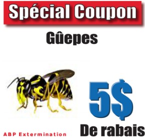 Extermination Gu�pe Coupon Rabais