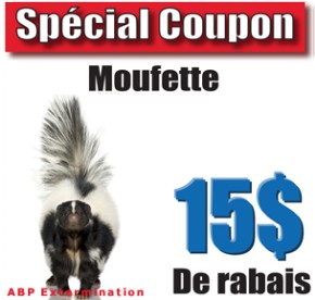 Extermination Moufette Coupon Rabais