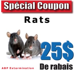 Extermination Rat Coupon Rabais